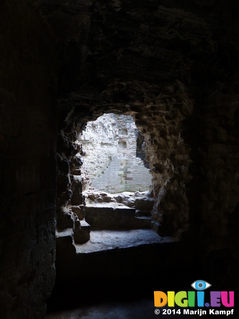 FZ003691 Denbigh Castle look through